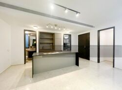 Park Colonial (D13), Condominium #530577011